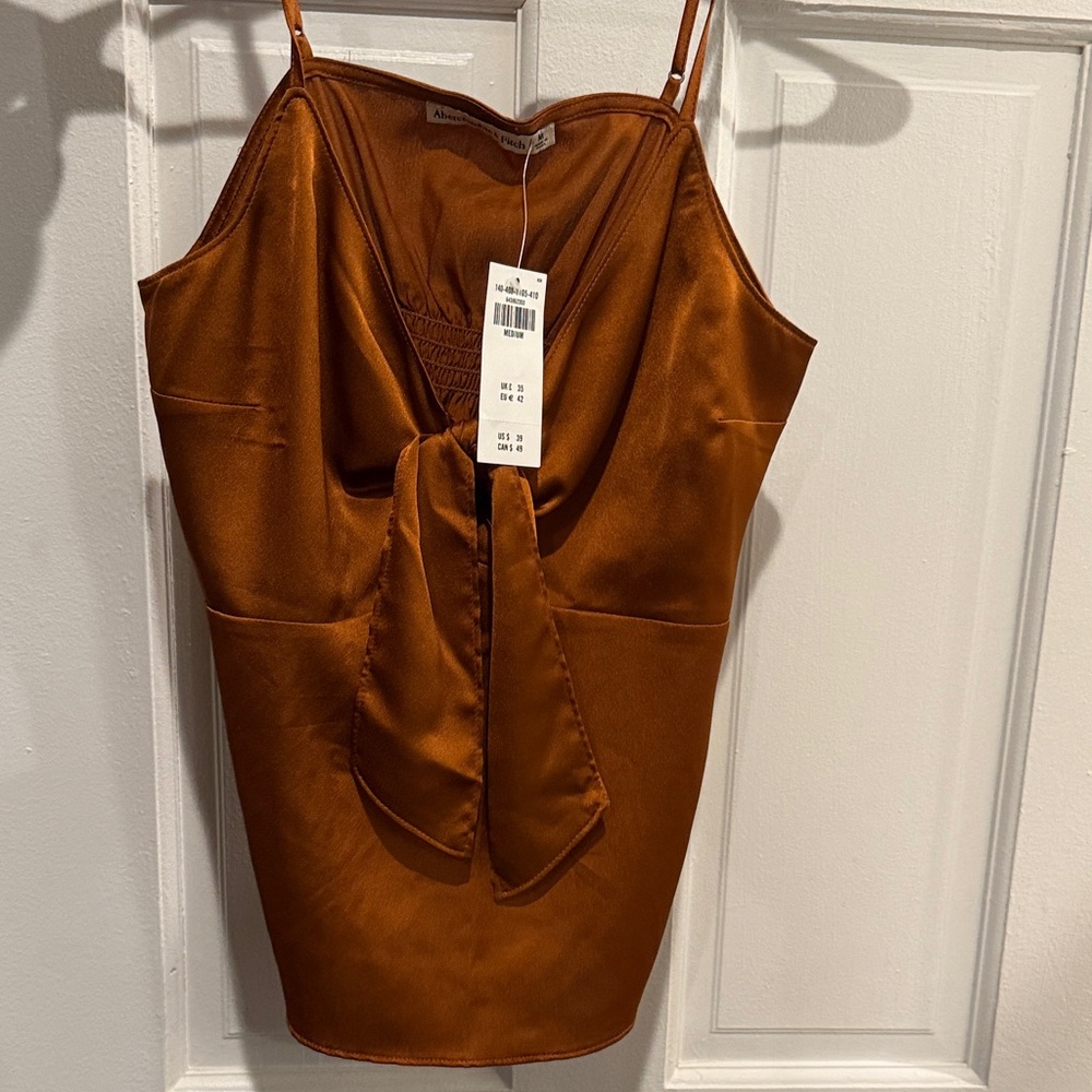 Abercrombie & Fitch Rust Satin Blouse